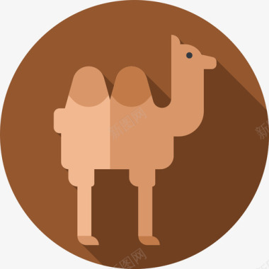 骆驼摩洛哥6平坦图标图标