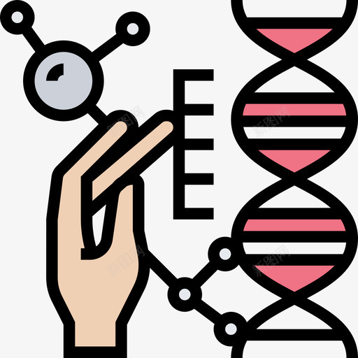 遗传学生物技术5线性颜色图标svg_新图网 https://ixintu.com 生物技术5 线性颜色 遗传学