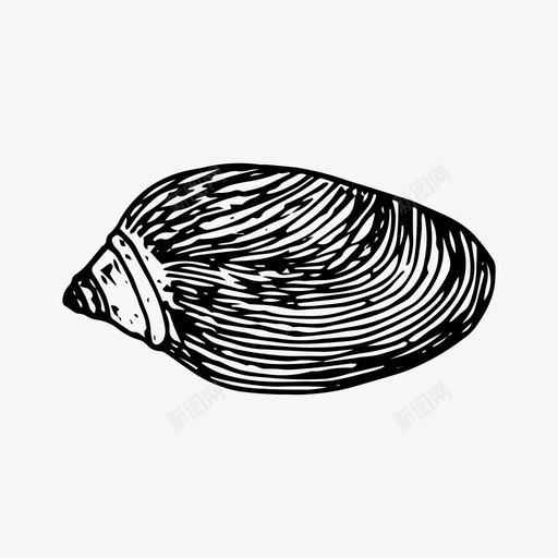 贝壳海滩手绘图标svg_新图网 https://ixintu.com 大海 手绘 海洋 海滩 贝壳