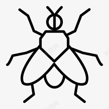 家蝇虫子昆虫图标图标