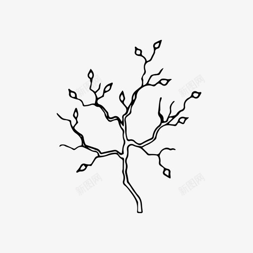 树枝手绘自然图标svg_新图网 https://ixintu.com 手绘 树枝 植物 自然