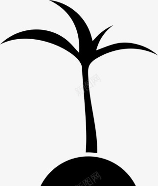 棕榈树香蕉叶子图标图标