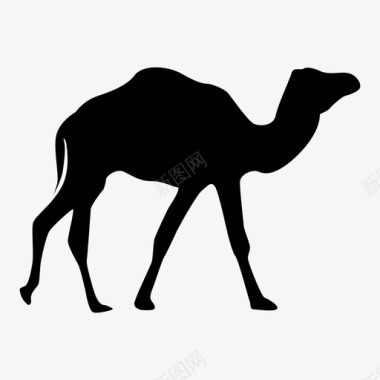骆驼动物伊斯兰图标图标