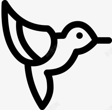 colibri鸟苍蝇图标图标