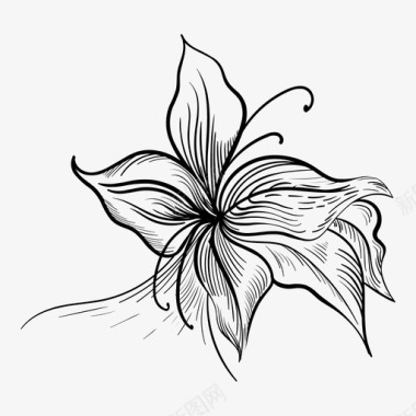 百合花花卉雕刻图标图标