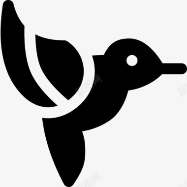 科利布里鸟苍蝇图标图标