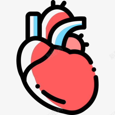 心脏生物学10颜色省略图标图标