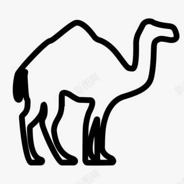 骆驼斋月阿拉伯斋月卡里姆图标图标