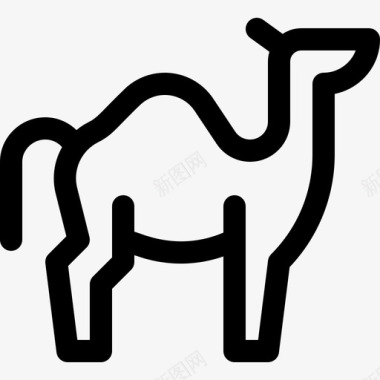 骆驼摩洛哥5直系图标图标