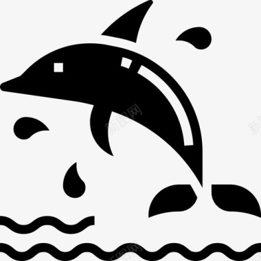 海豚夏威夷11雕文图标图标