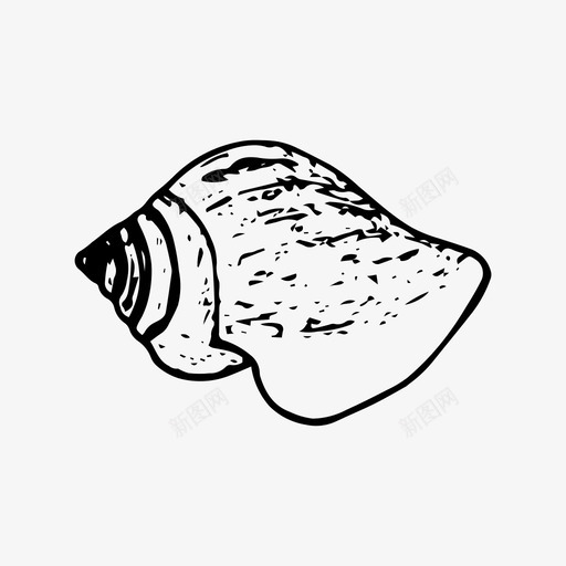贝壳海滩手绘图标svg_新图网 https://ixintu.com 大海 手绘 海洋 海滩 贝壳