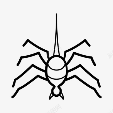 万圣节蜘蛛节日鬼魂图标图标