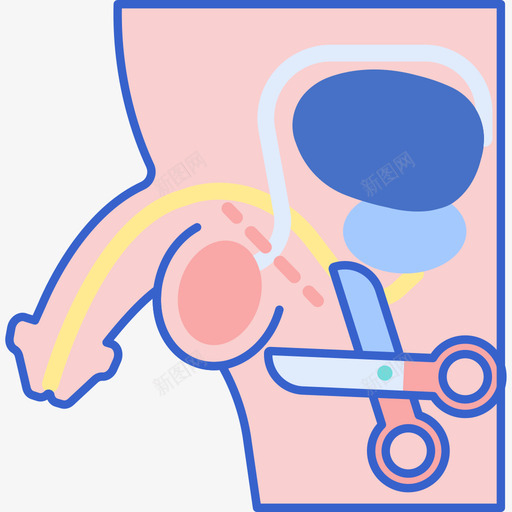 输精管切除术健康50线性颜色图标svg_新图网 https://ixintu.com 健康50 线性颜色 输精管切除术