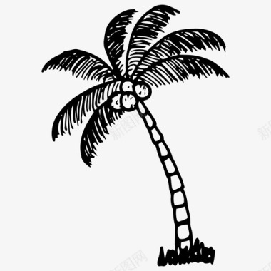 棕榈椰子棕手绘图标图标