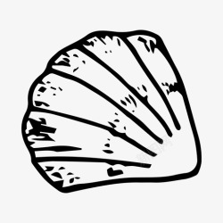 贝壳海滩手绘贝壳海滩手绘图标高清图片
