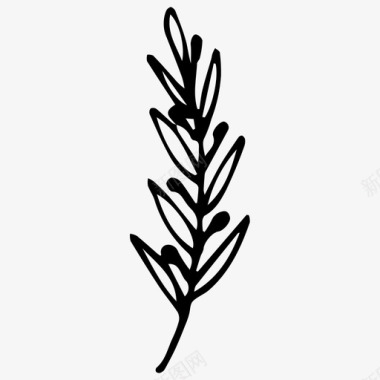 植物树枝手绘图标图标