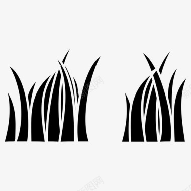 草草药自然图标图标