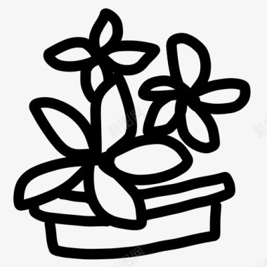 仙人掌植物学涂鸦图标图标
