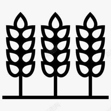 大麦食品作物谷物图标图标
