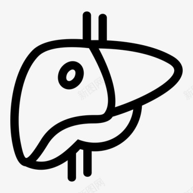 肝脏解剖学身体图标图标