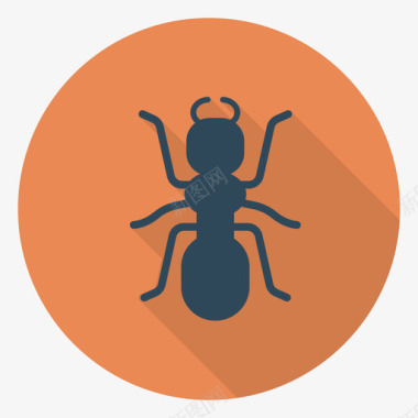 蚂蚁动物21圆形图标图标