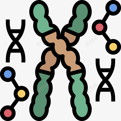 Dna遗传学和生物工程3线性颜色图标svg_新图网 https://ixintu.com Dna 生物工程 线性 遗传学 颜色