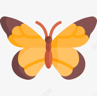 蝴蝶昆虫22扁平图标图标