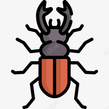 甲虫昆虫21线形颜色图标图标