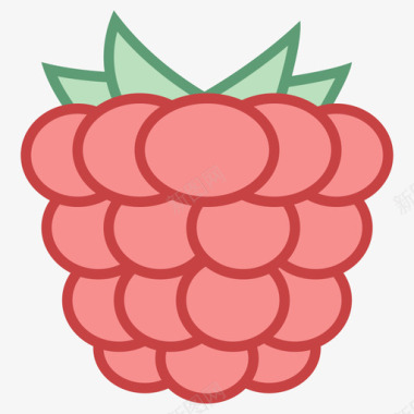 Raspberry图标