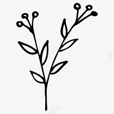 植物树枝手绘图标图标
