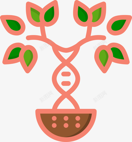 家谱祖先4线形颜色图标svg_新图网 https://ixintu.com 家谱 祖先 线形 颜色