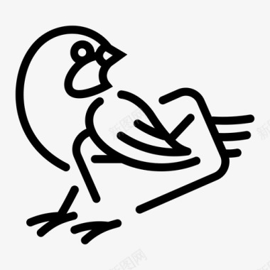 麻雀有字母鸟邮件图标图标