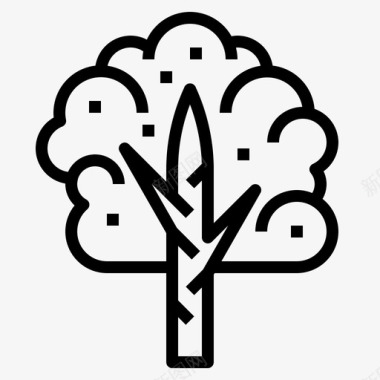 桦树植物学生态学图标图标