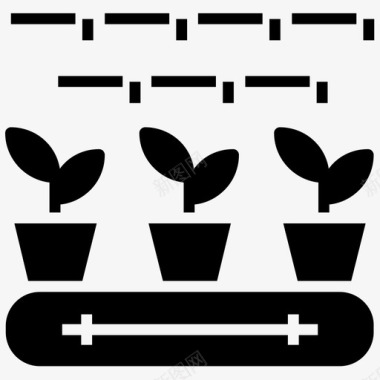 盆栽植物生长园艺植物生长图标图标