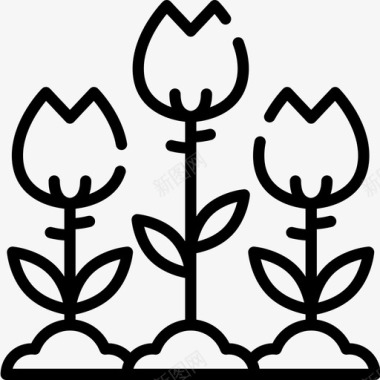 花野餐54直系图标图标