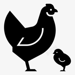 小鸡标识母鸡小鸡鸡图标高清图片