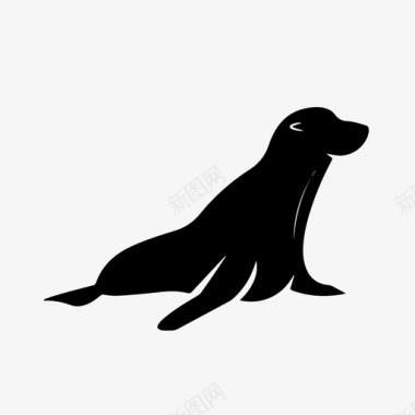 毛皮海豹哺乳动物海狮图标图标