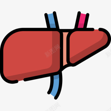 肝脏医学148线性颜色图标图标