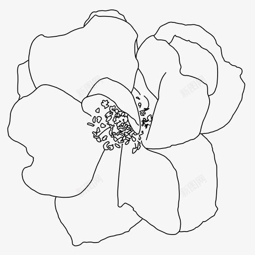 手绘玫瑰花园线条艺术花图标svg_新图网 https://ixintu.com 多年生 手绘 植物 玫瑰 生命 线条 艺术 花园 花瓣