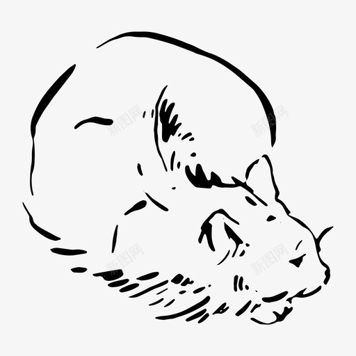 猫可爱手绘图标svg_新图网 https://ixintu.com 可爱 宠物 小猫 手绘