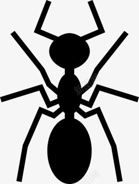 蚂蚁害虫图标图标