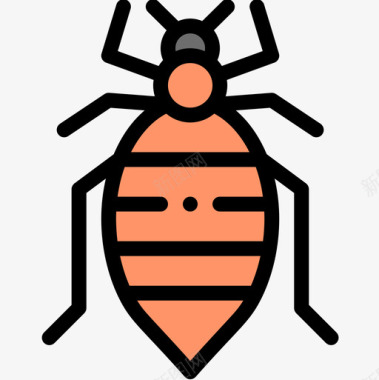 臭虫昆虫12线状颜色图标图标