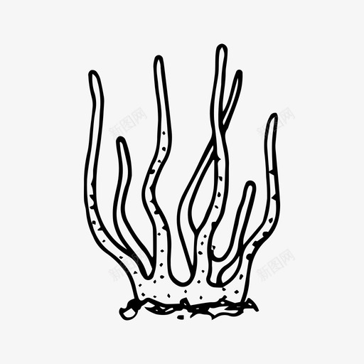 海藻手绘自然图标svg_新图网 https://ixintu.com 手绘 植物 水下 海藻 素描 自然