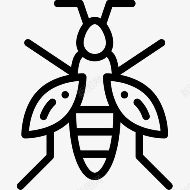 黄蜂昆虫11直系图标图标