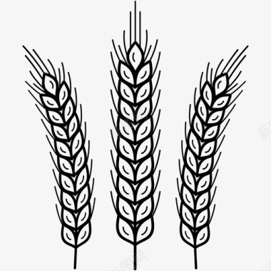 小麦谷类谷物图标图标