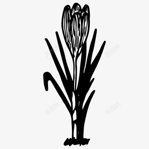花朵手绘自然图标svg_新图网 https://ixintu.com 手绘 植物 自然 花朵