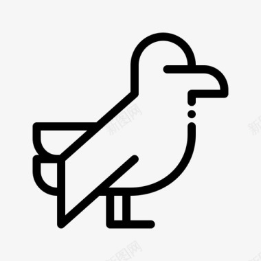 孔雀鸟3直系图标图标