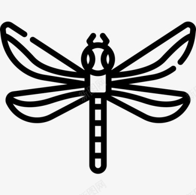 蜻蜓动物66直系图标图标
