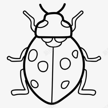 瓢虫小虫飞虫图标图标