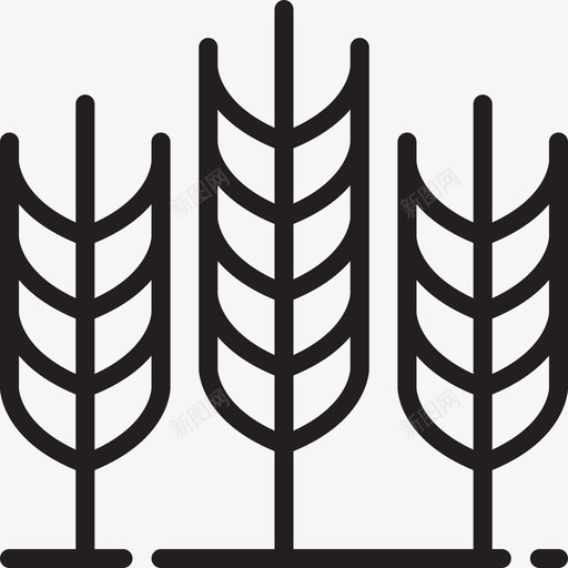 wheatsvg_新图网 https://ixintu.com wheat